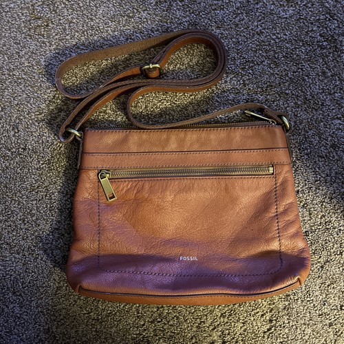 Fossil cow hide - hide, leather
